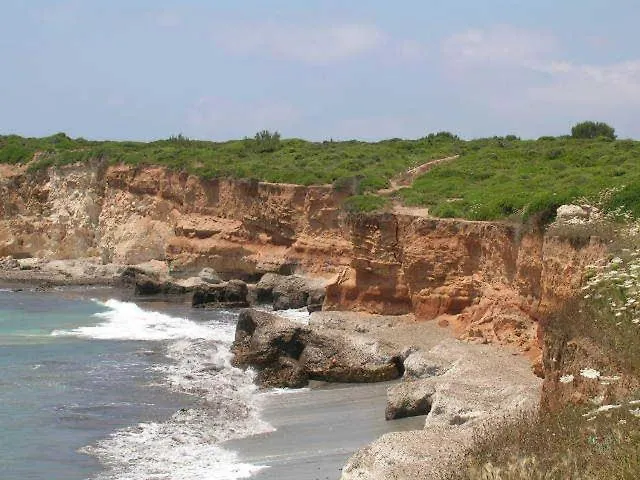 ホテル Summertime